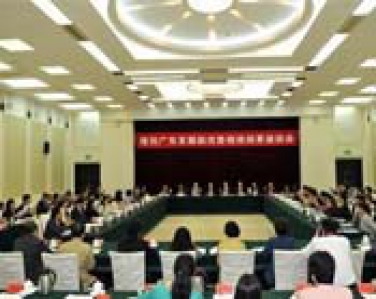 廣東省國稅局視頻會議系統